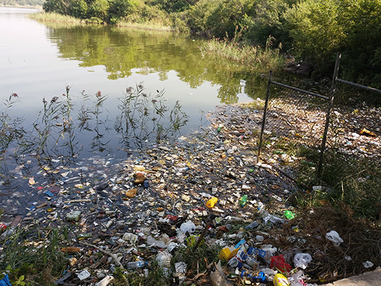 Affecting Marine life; A plastic bottle takes 450 years to break down, Report