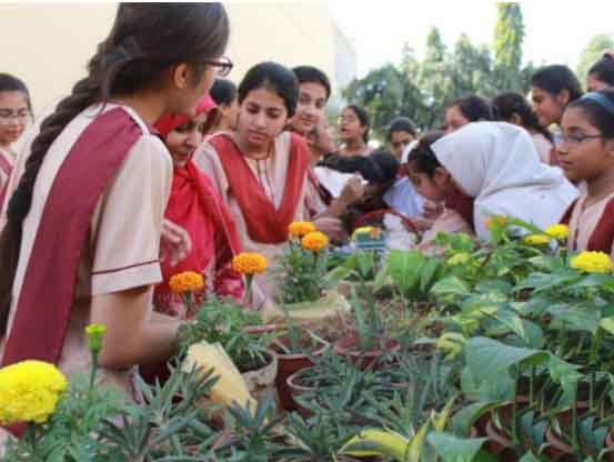 Pakistani school bags Intl. award for environment friendly business model