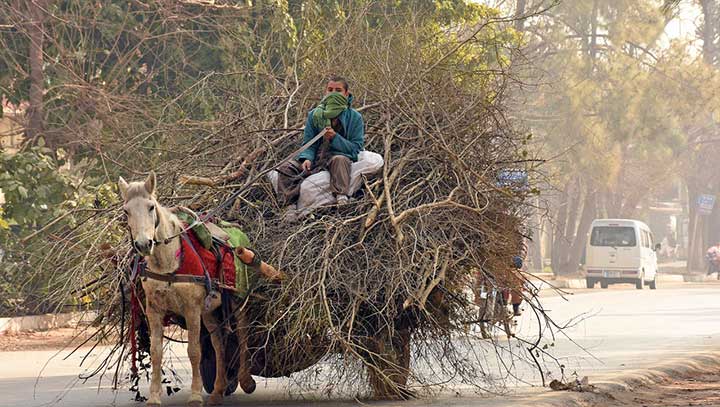 Deforestation: Hell in Pakistan