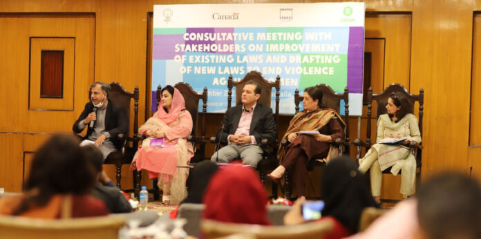 Experts-discuss-&-give-recommendations-for-Domestic-Violence-Prevention-and-Protection-Bill-2021